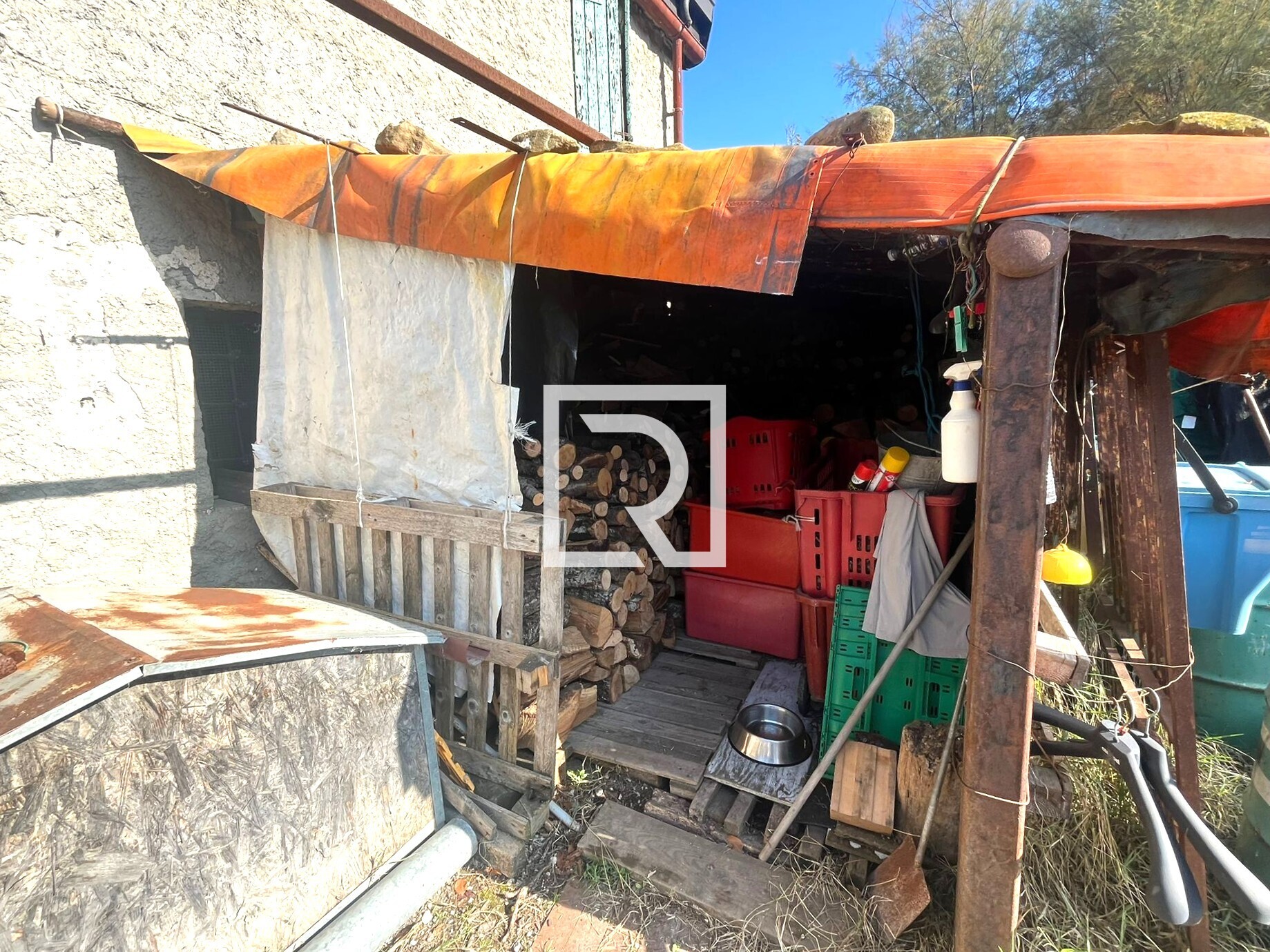 WhatsApp Image 2025-11-06 at 16.50.05