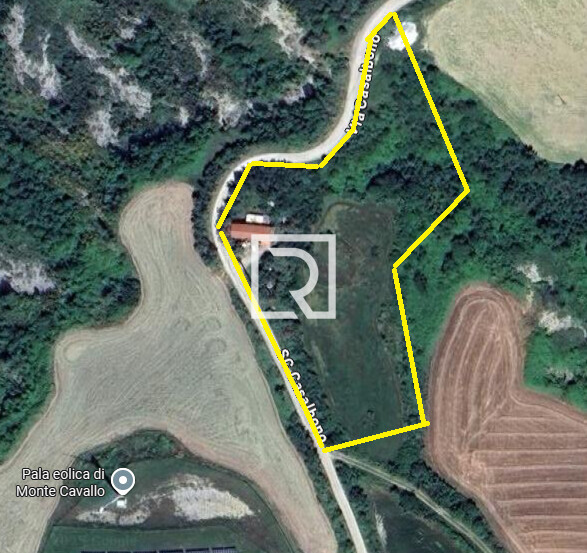 Immagine 2025-11-07 120831