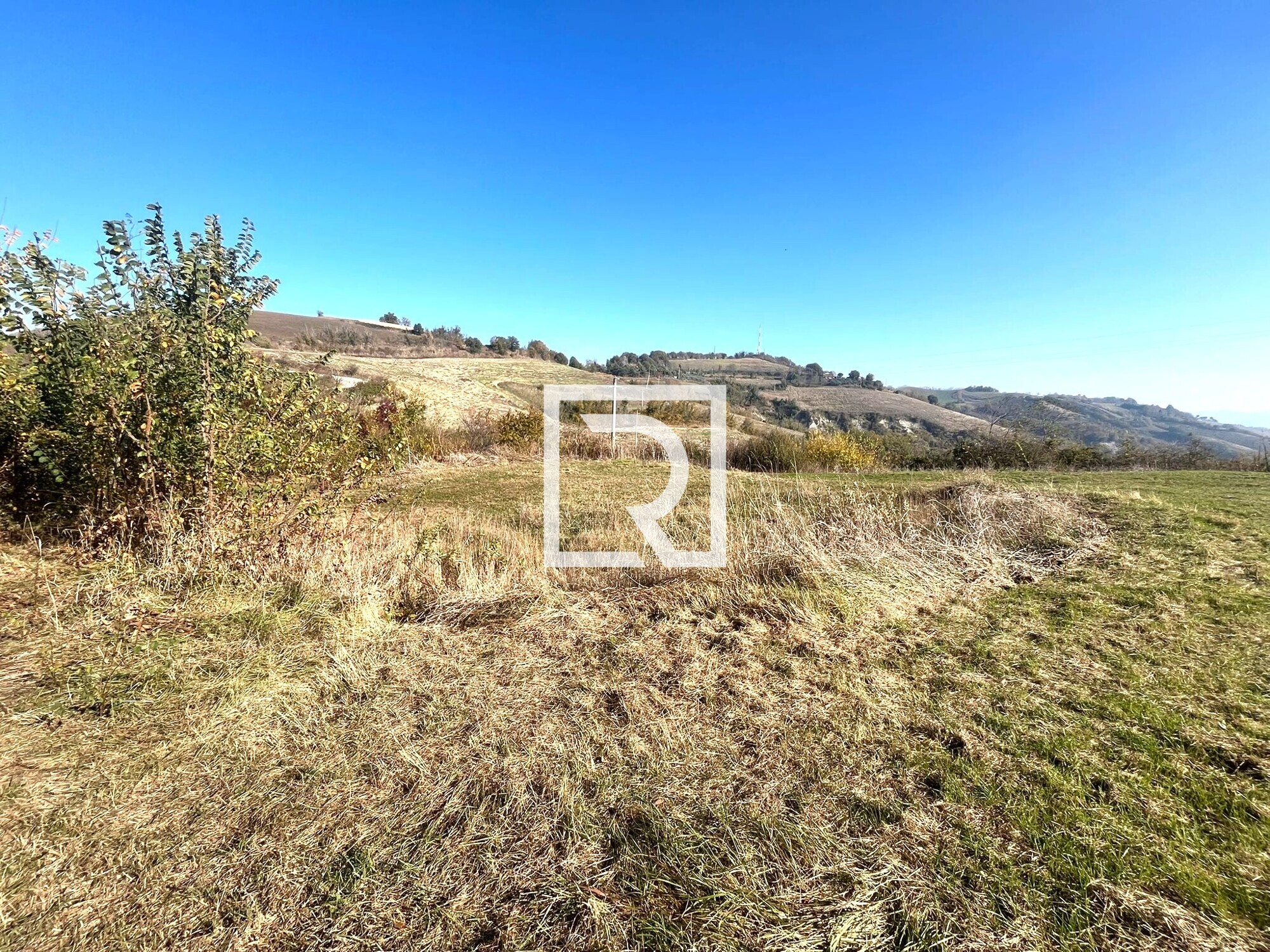 WhatsApp Image 2025-11-06 at 16.50.07