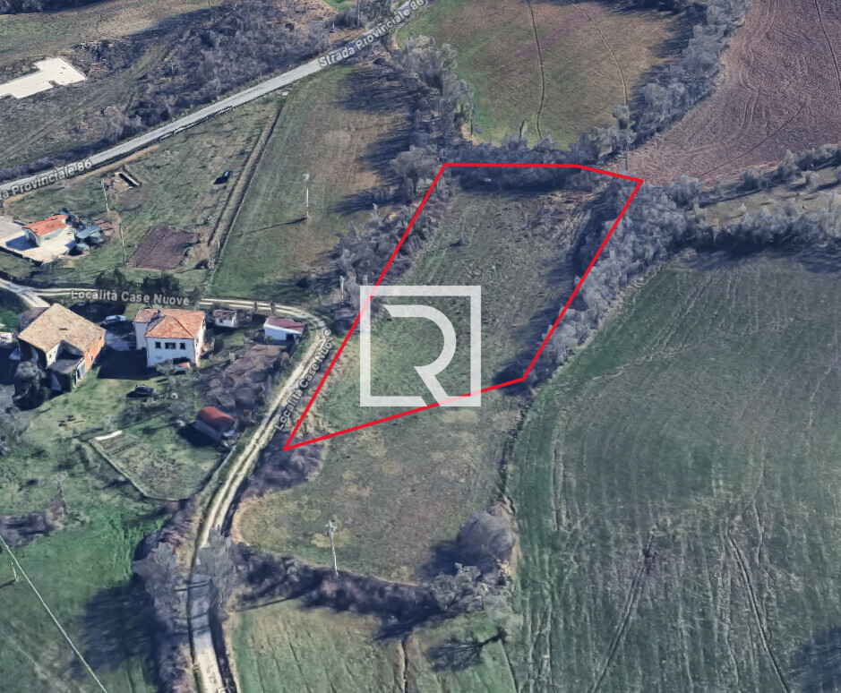 Immagine 2025-11-24 125048