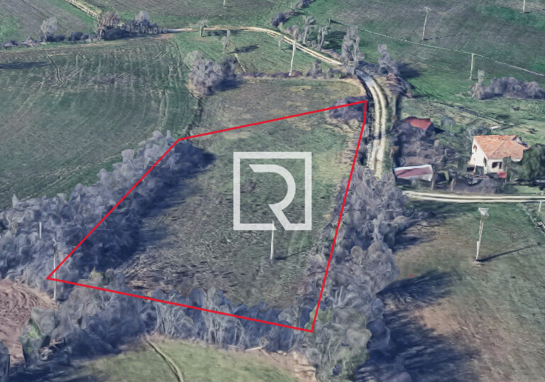 Immagine 2025-11-24 124938