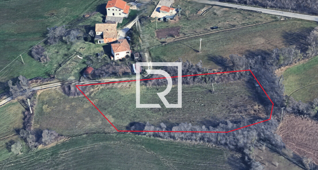 Immagine 2025-11-24 125157