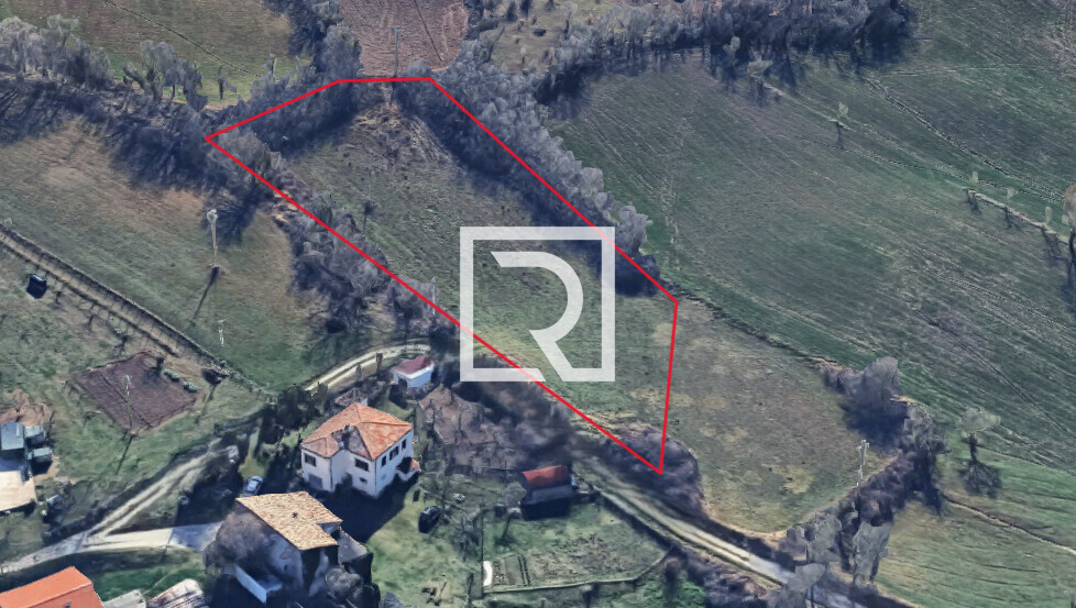 Immagine 2025-11-24 125118