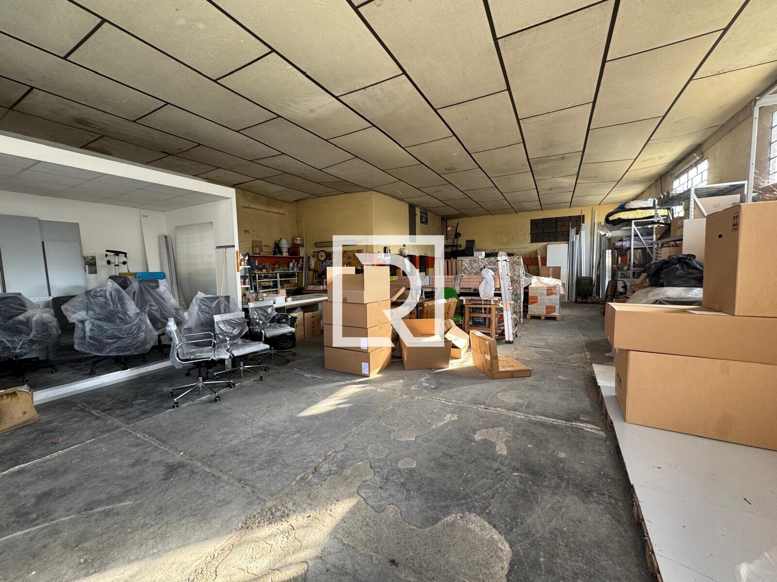 WhatsApp Image 2025-11-19 at 12.01.19 (1)