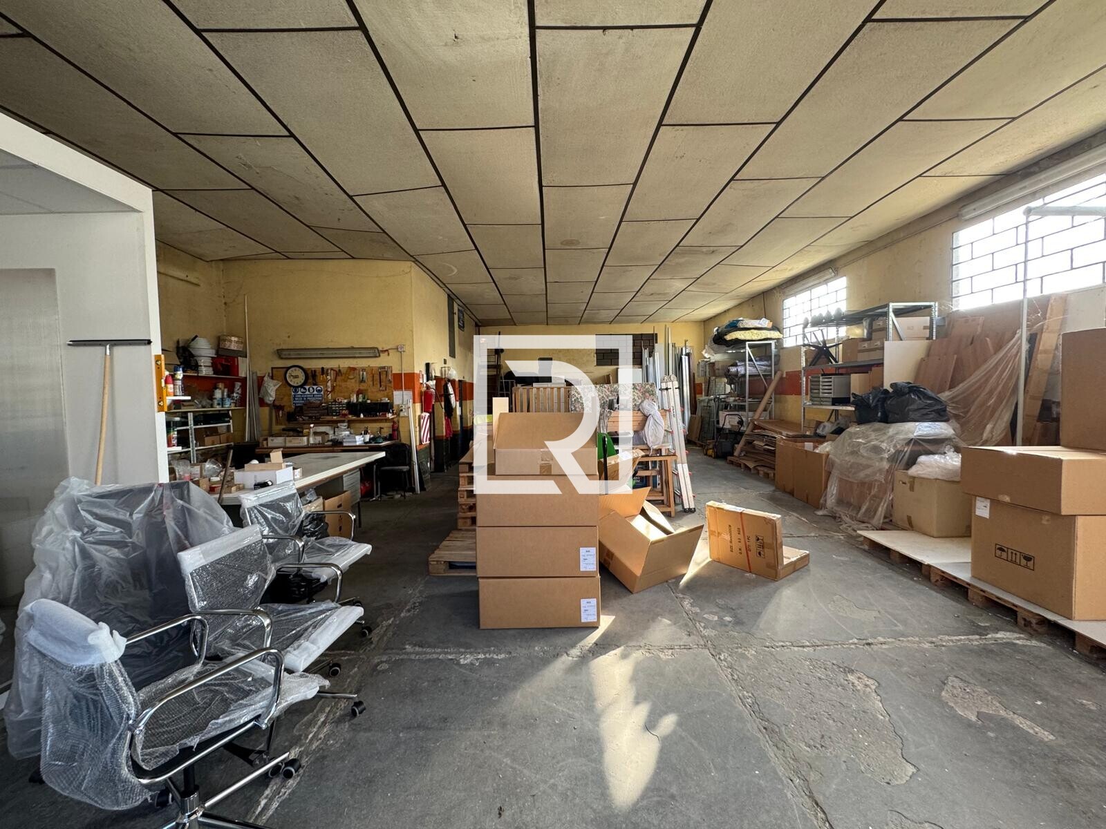 WhatsApp Image 2025-11-19 at 12.01.19