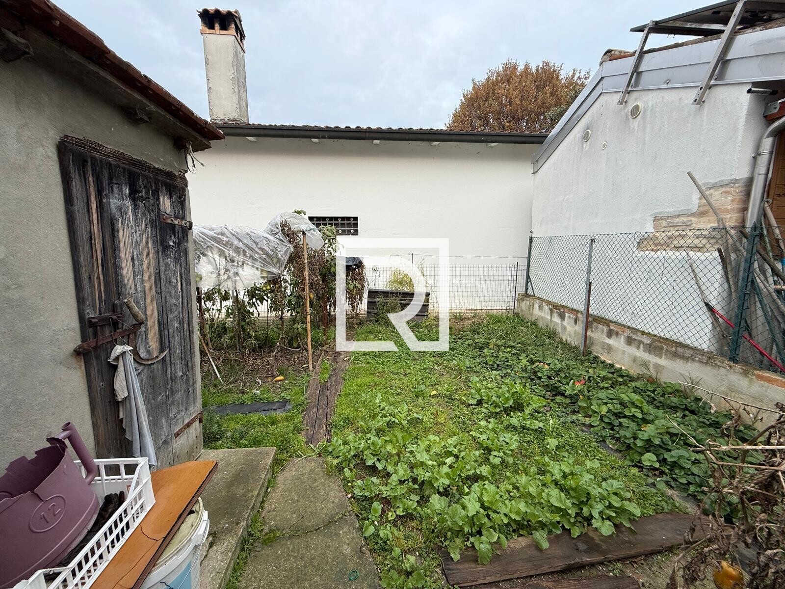 WhatsApp Image 2025-12-01 at 11.46.32