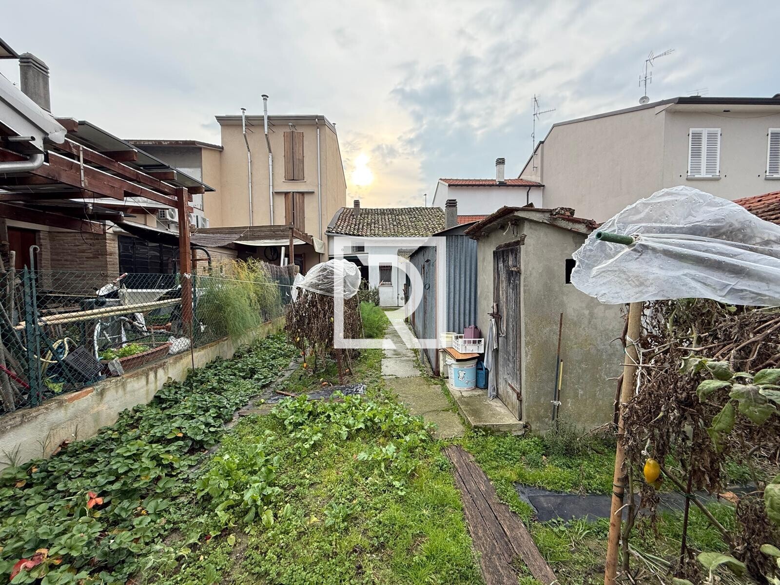 WhatsApp Image 2025-12-01 at 11.46.32 (1)