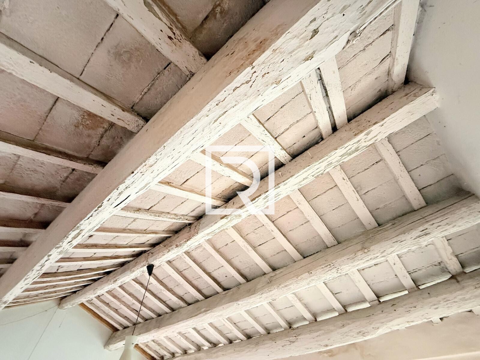 WhatsApp Image 2025-12-01 at 11.46.25 (1)