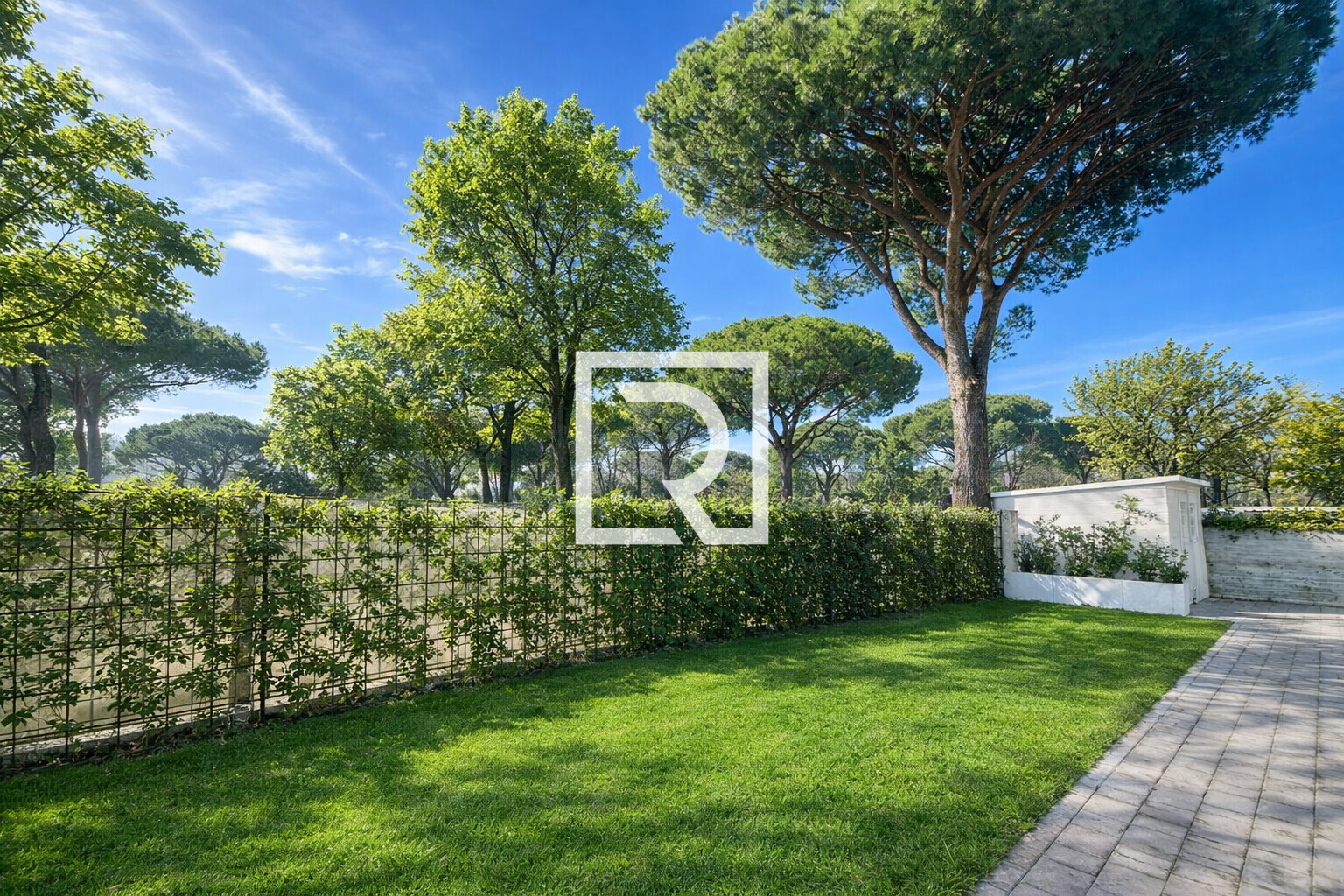 ChatGPT Image 13 feb 2026, 17_47_23