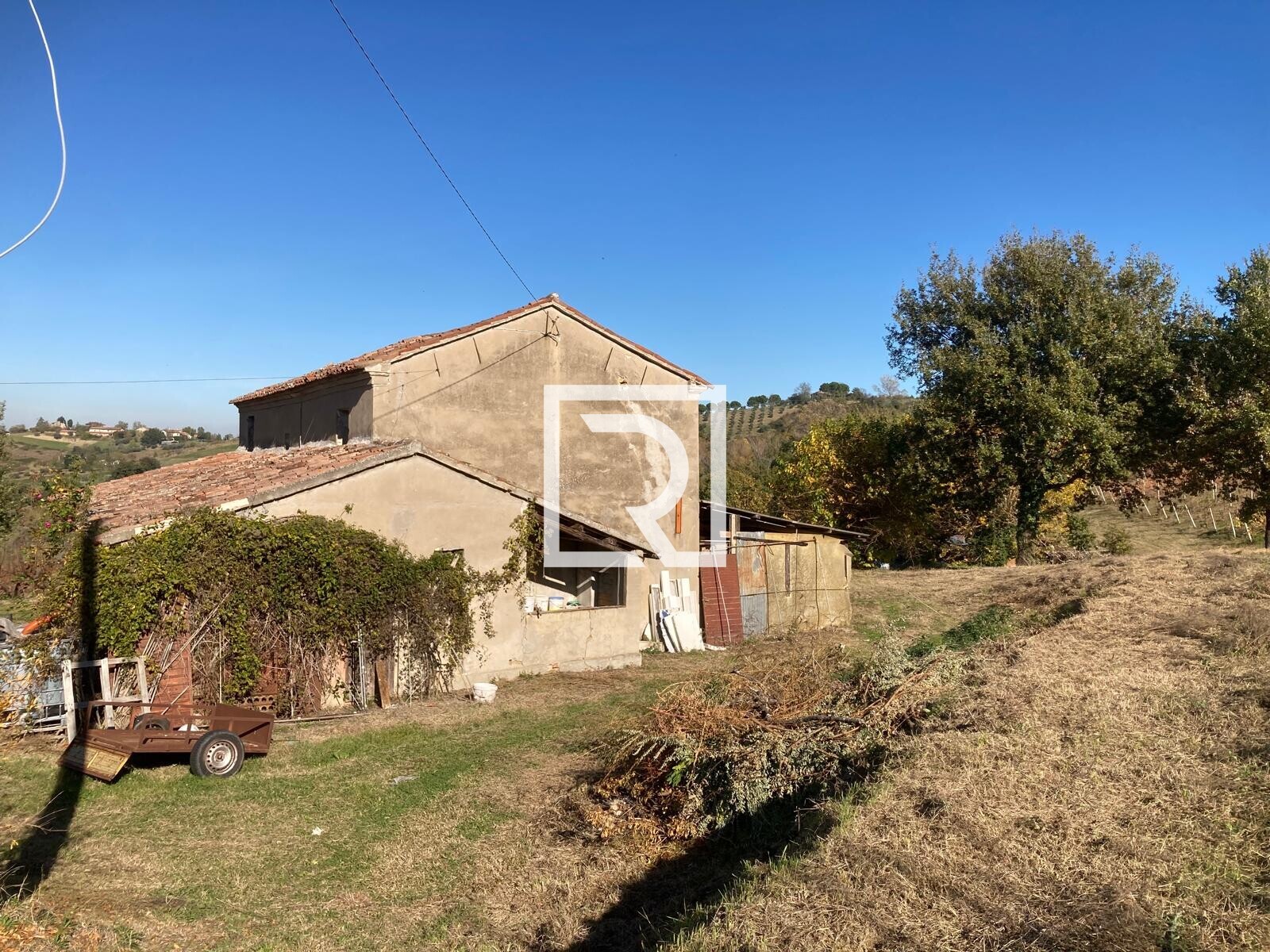 WhatsApp Image 2025-12-10 at 15.53.25 (1)