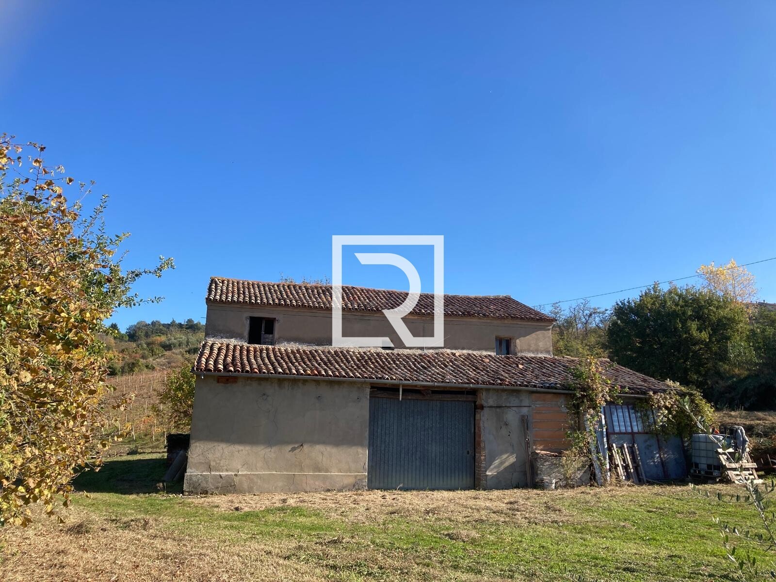 WhatsApp Image 2025-12-10 at 15.53.24