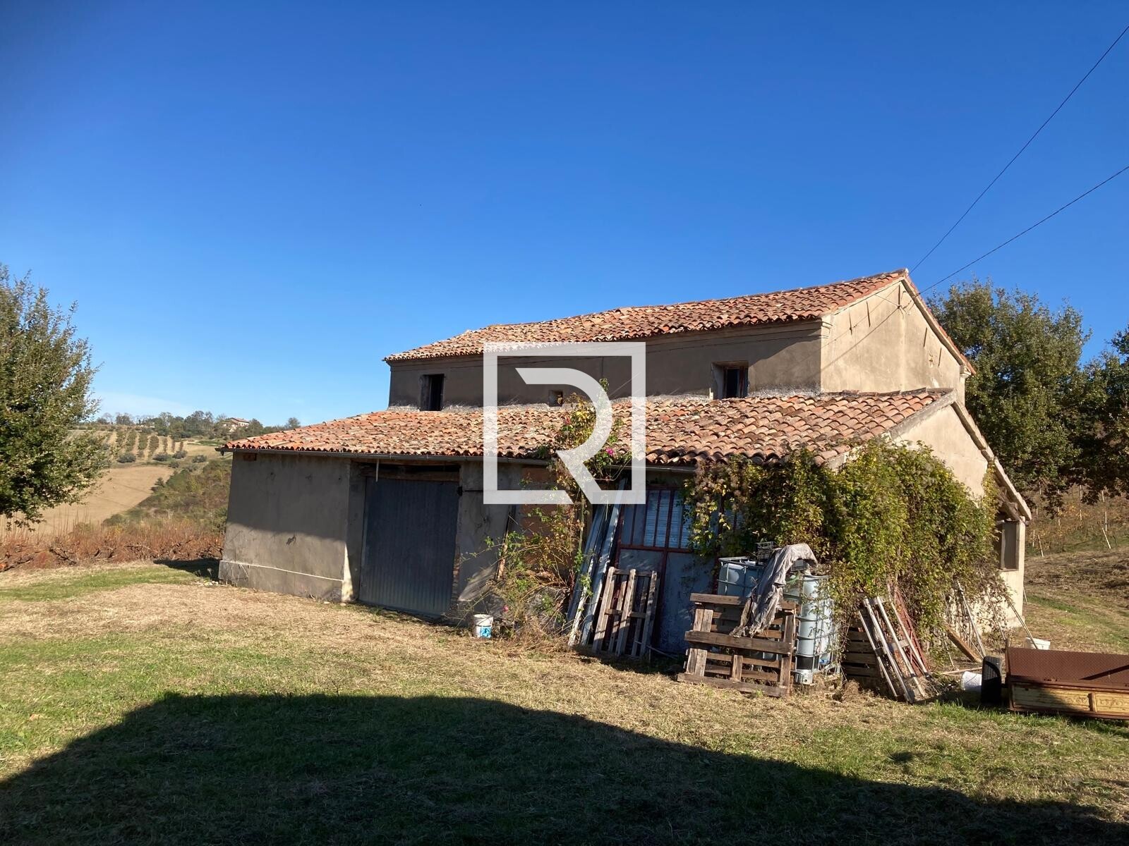 WhatsApp Image 2025-12-10 at 15.53.25