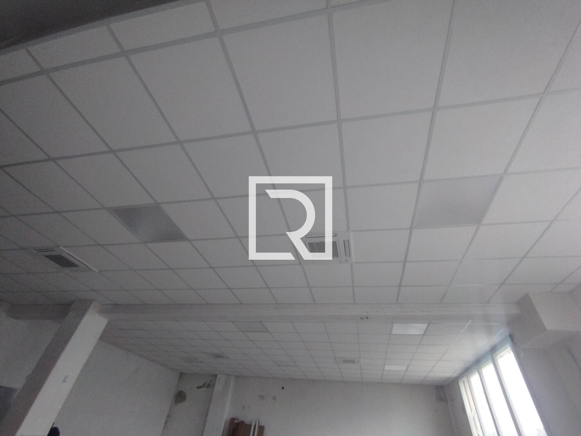 WhatsApp Image 2025-12-12 at 10.46.19