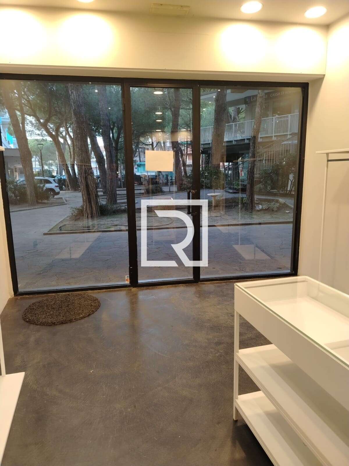 WhatsApp Image 2025-03-21 at 12.15.55