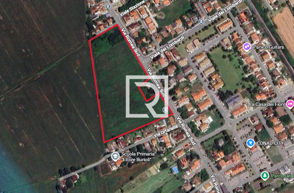 Immagine 2025-12-12 121027