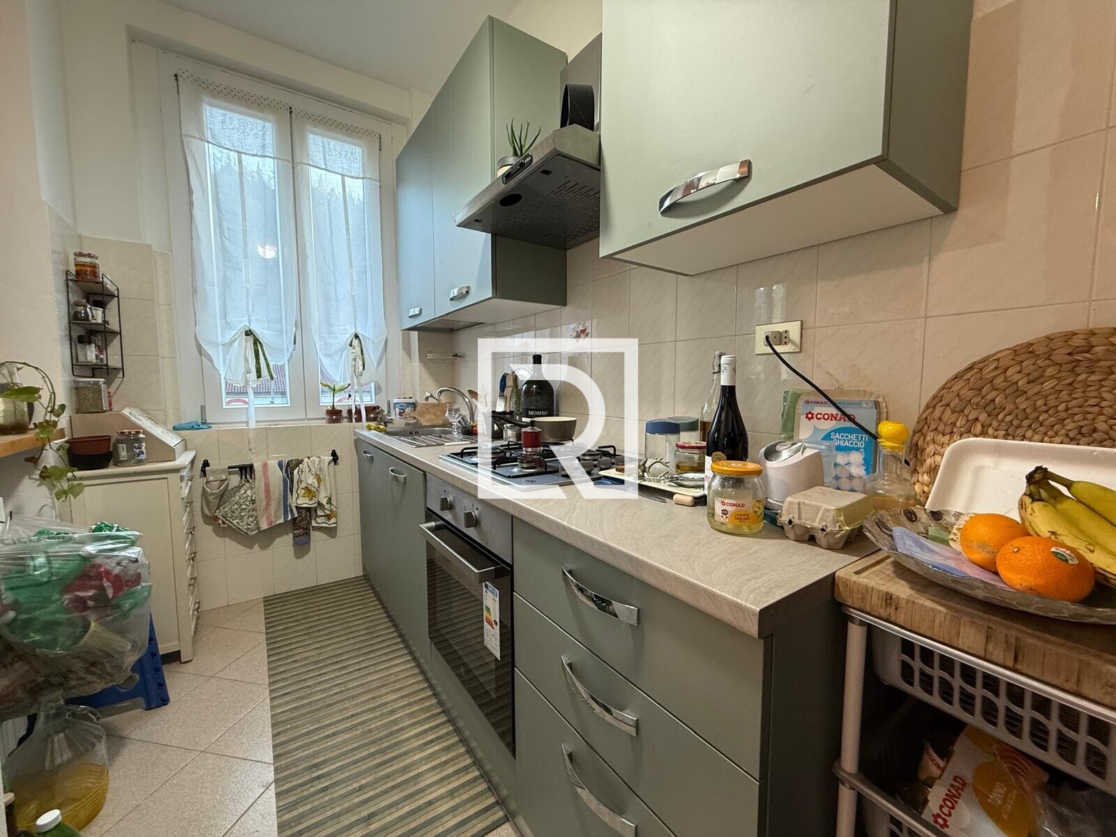 WhatsApp Image 2025-12-11 at 13.47.36 (4)