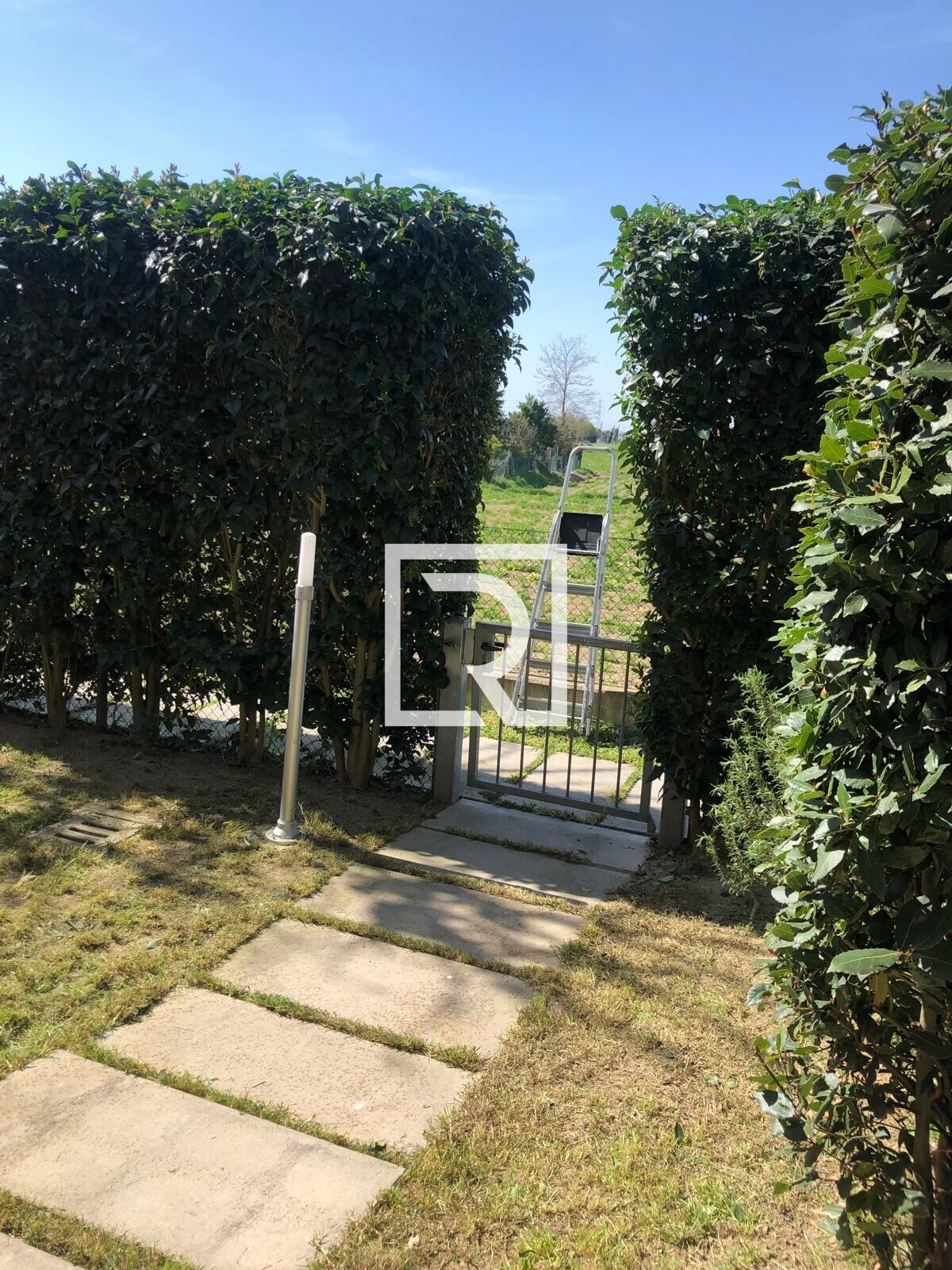 WhatsApp Image 2025-12-13 at 1.06.59 PM (3)