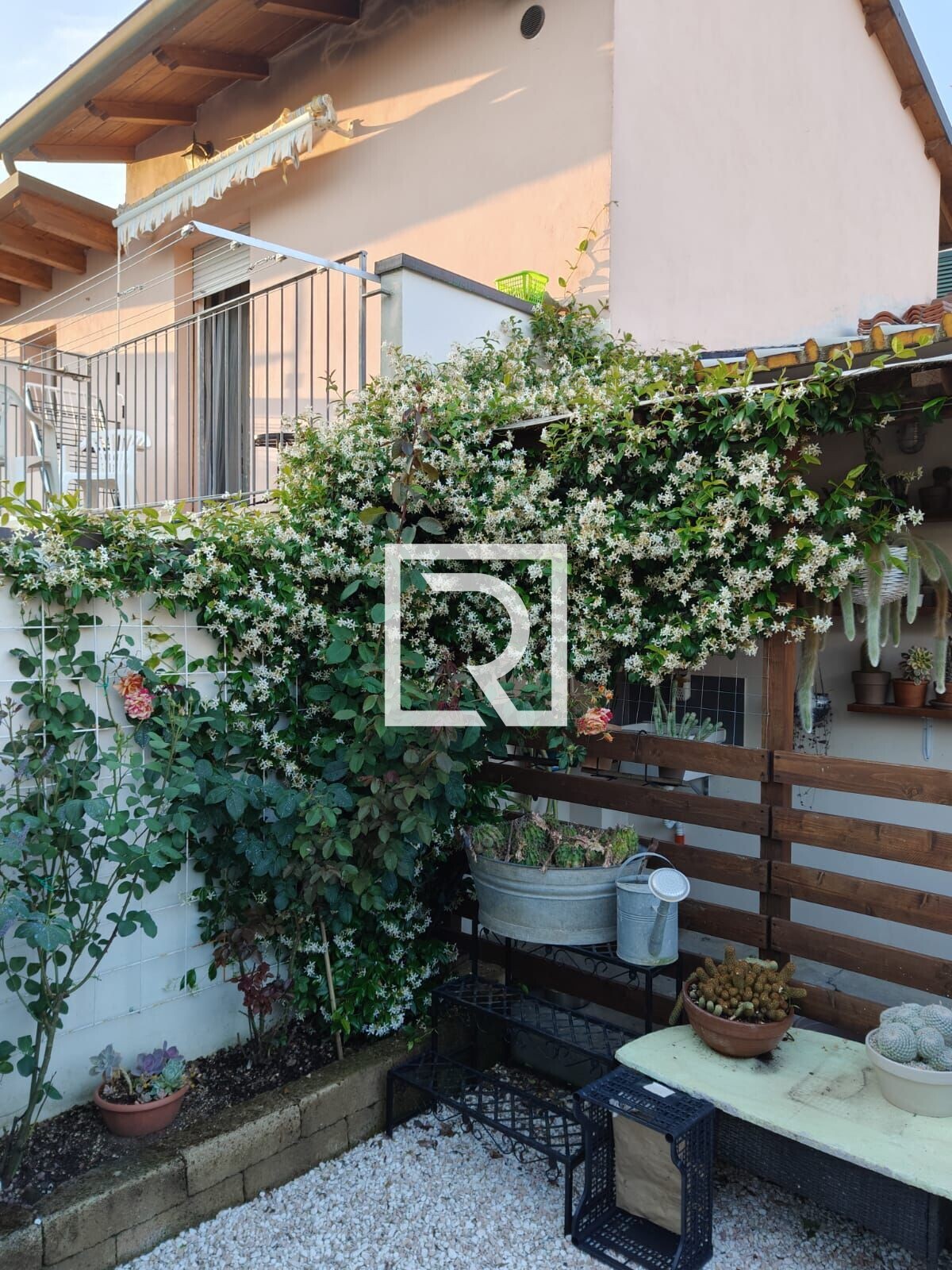 WhatsApp Image 2025-12-15 at 16.57.13