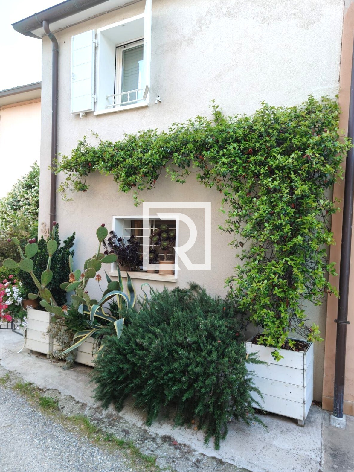 WhatsApp Image 2025-12-15 at 16.57.13 (1)