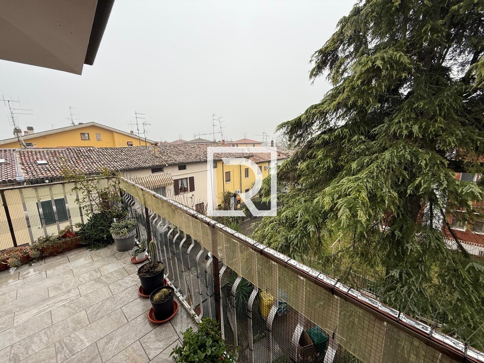 WhatsApp Image 2025-12-16 at 15.12.20 (2)