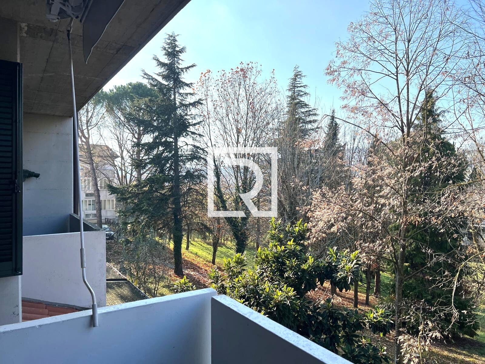 WhatsApp Image 2025-12-15 at 16.31.34