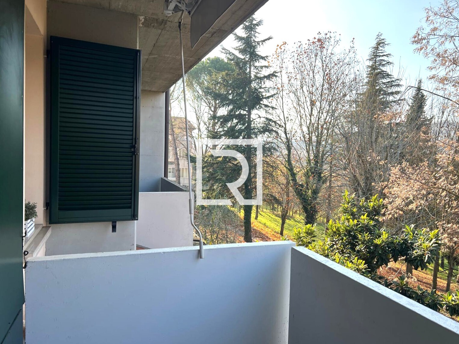 WhatsApp Image 2025-12-15 at 16.31.34 (1)