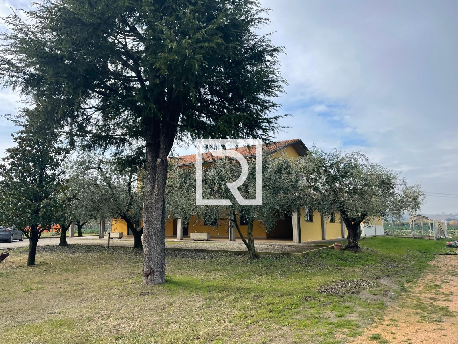 WhatsApp Image 2025-12-17 at 15.14.01 (1)