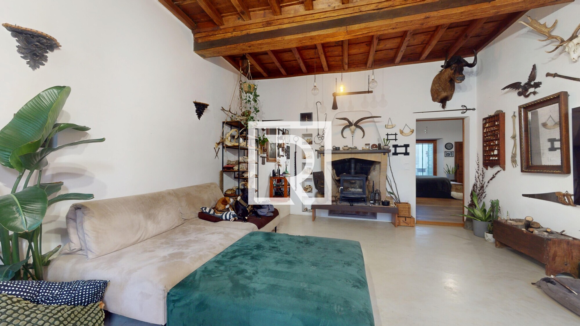 Trilo-Castrocaro-01132026_102758