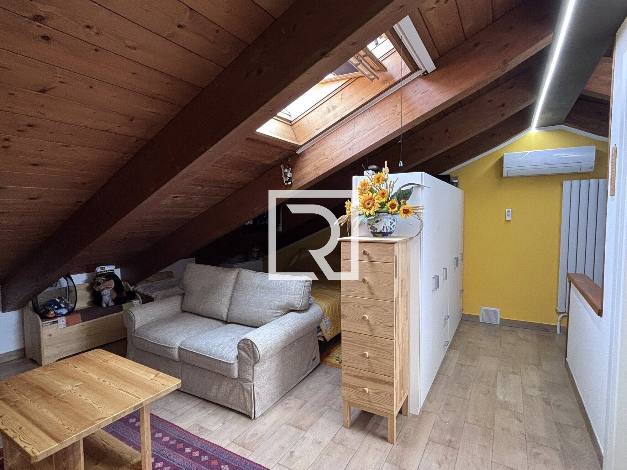 539367191_1505616060878586_3444849612600194985_n