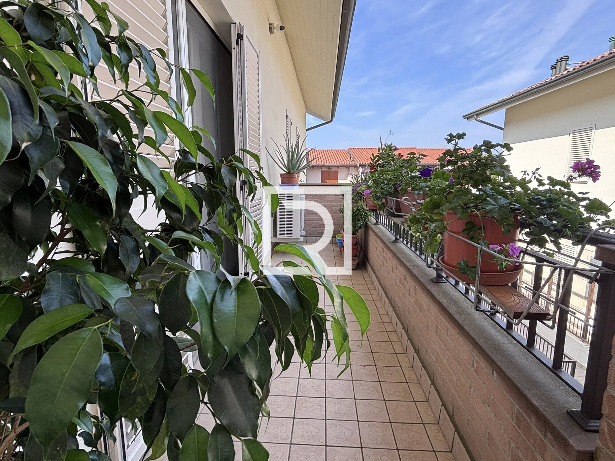 536268542_1505615650878627_1589799013292103498_n (1)