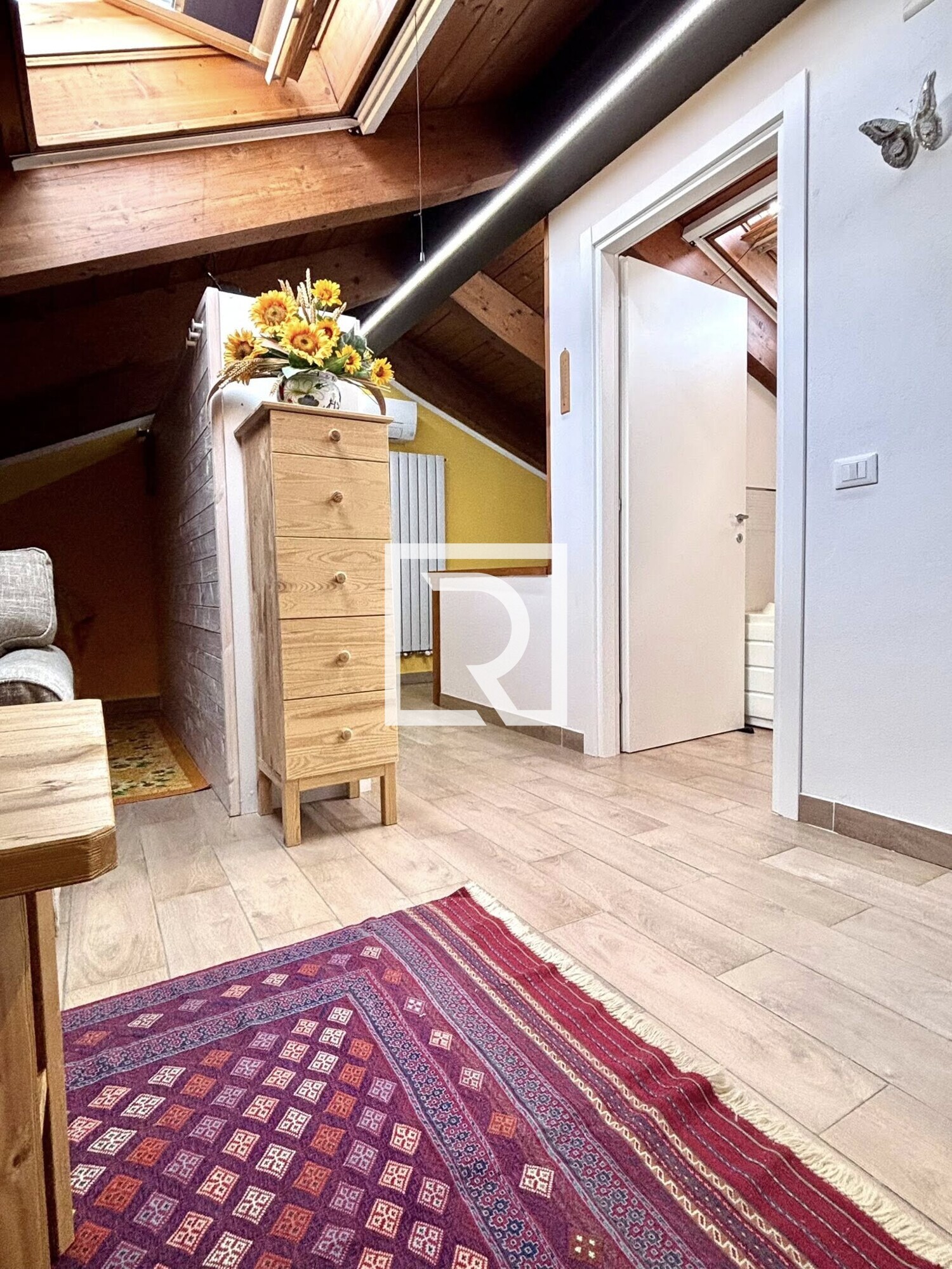 540605804_1505616167545242_6196294192136064435_n