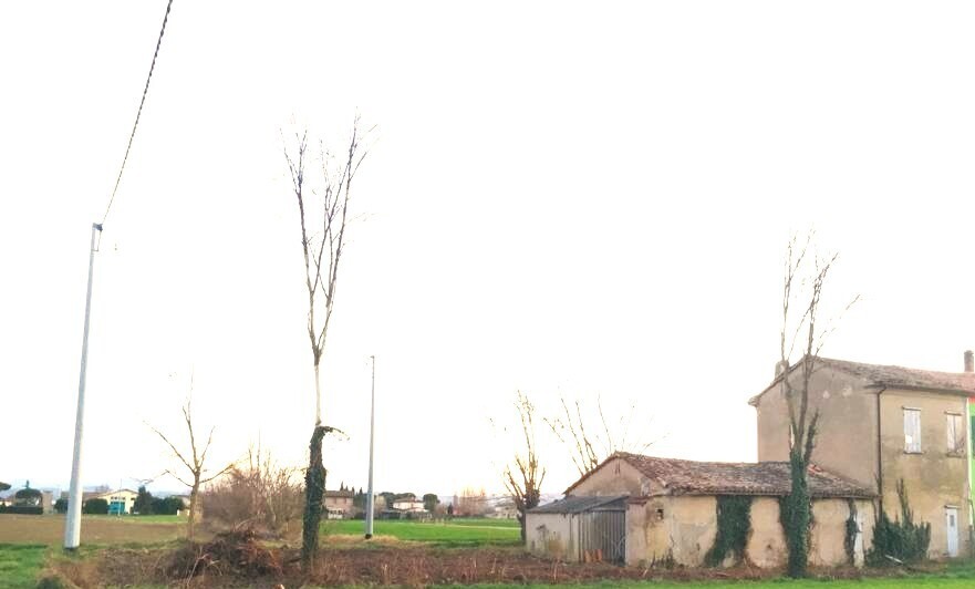 WhatsApp Image 2026-01-15 at 12.00.28 - Copia