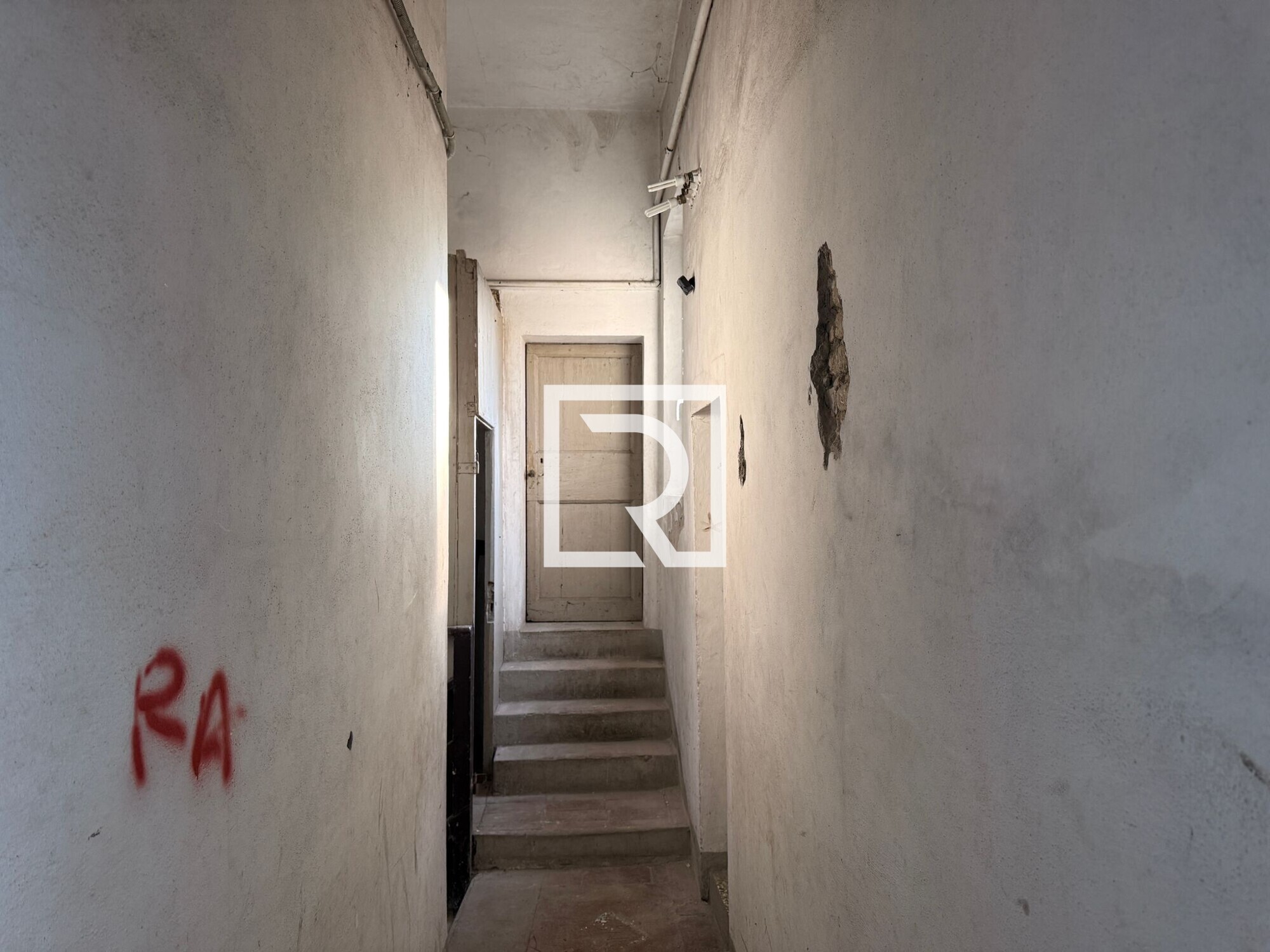 WhatsApp Image 2026-01-27 at 17.45.34 (1)