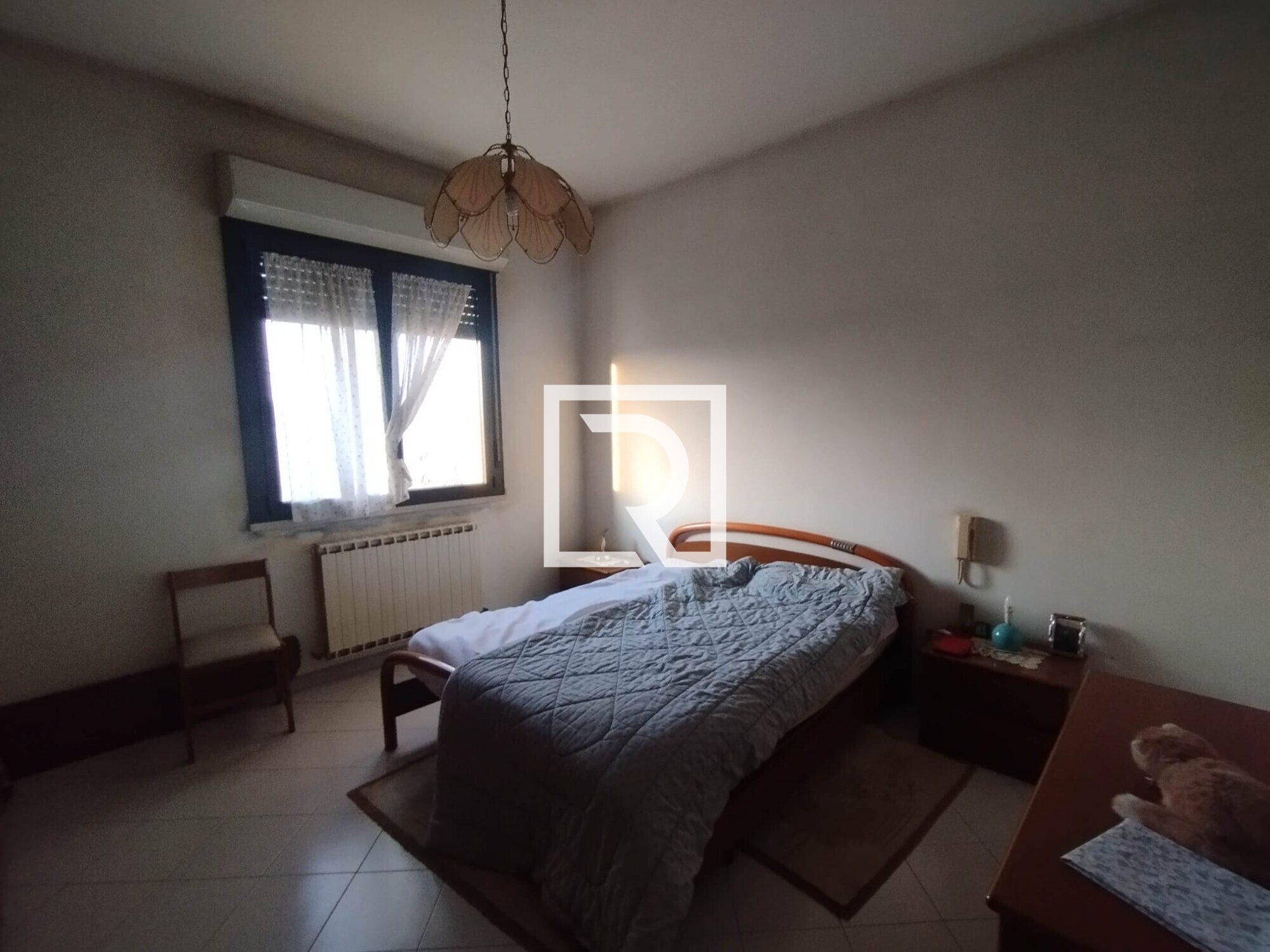 WhatsApp Image 2026-01-16 at 11.22.33