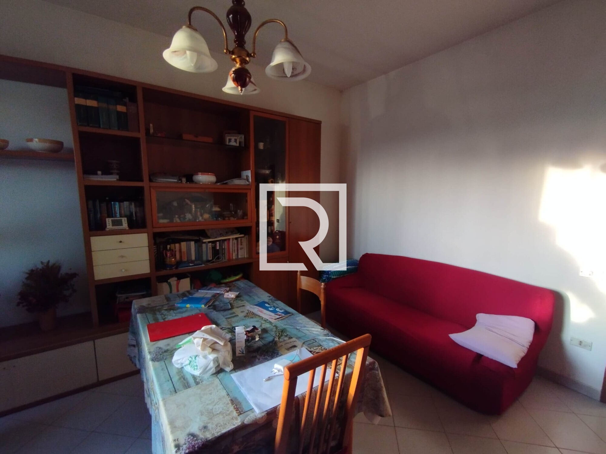 WhatsApp Image 2026-01-16 at 11.22.34 (4)