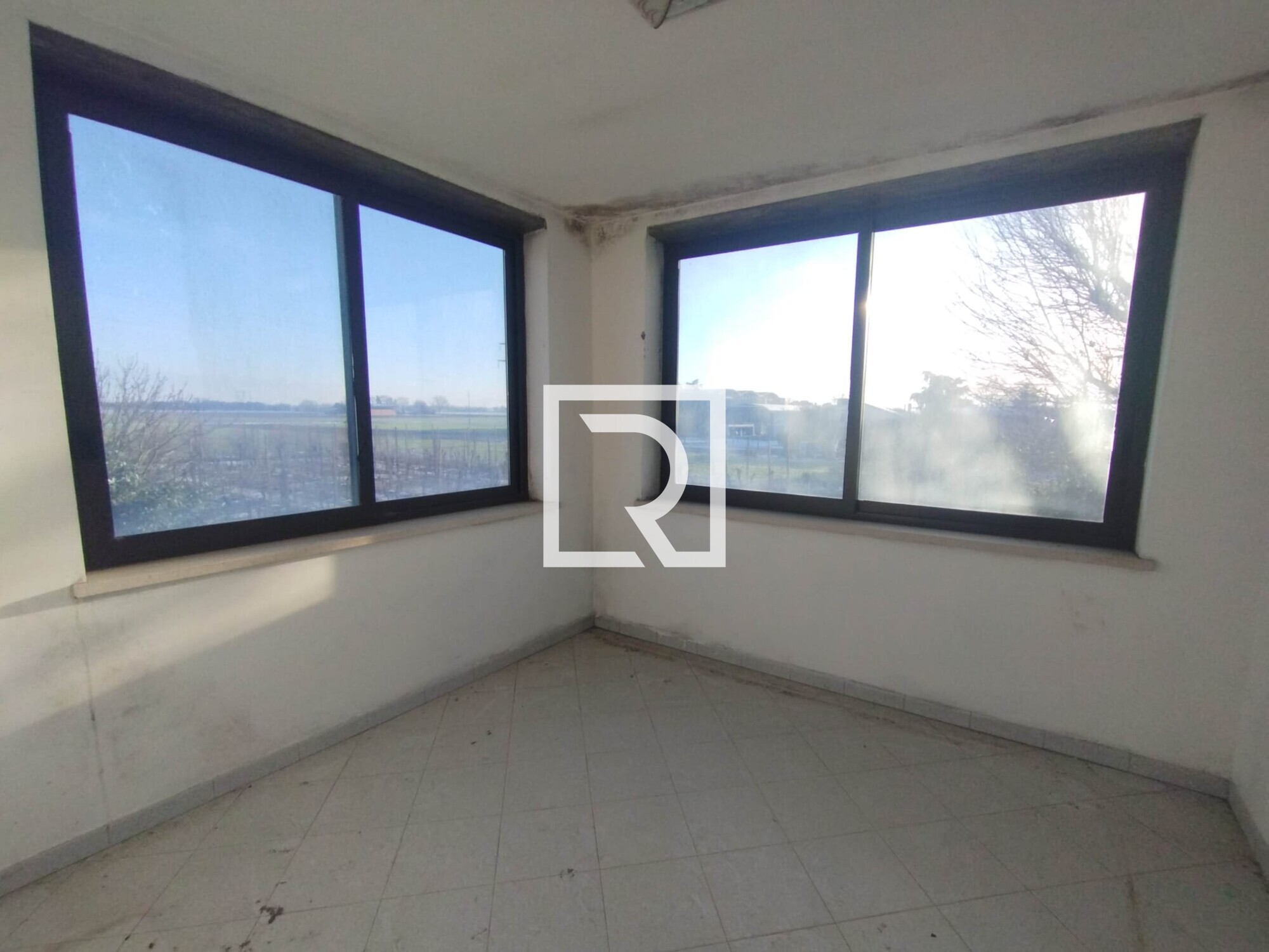 WhatsApp Image 2026-01-16 at 11.22.39