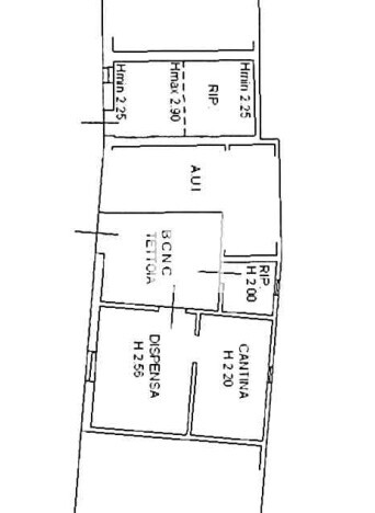 Immagine 2026-01-16 123319