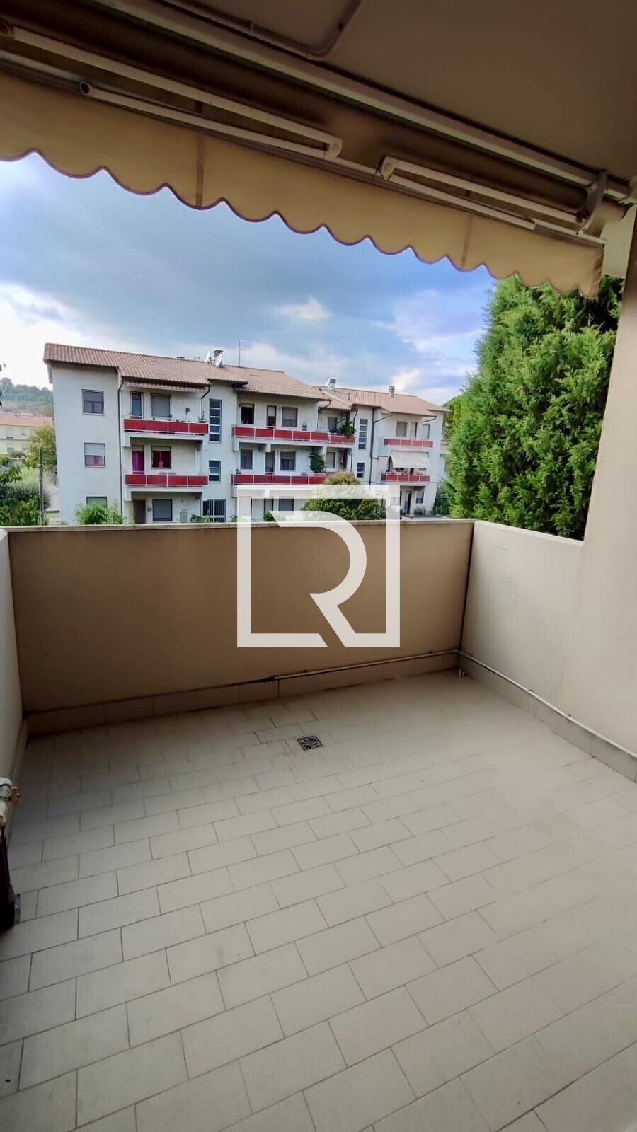 WhatsApp Image 2026-01-22 at 11.56.45 (22)