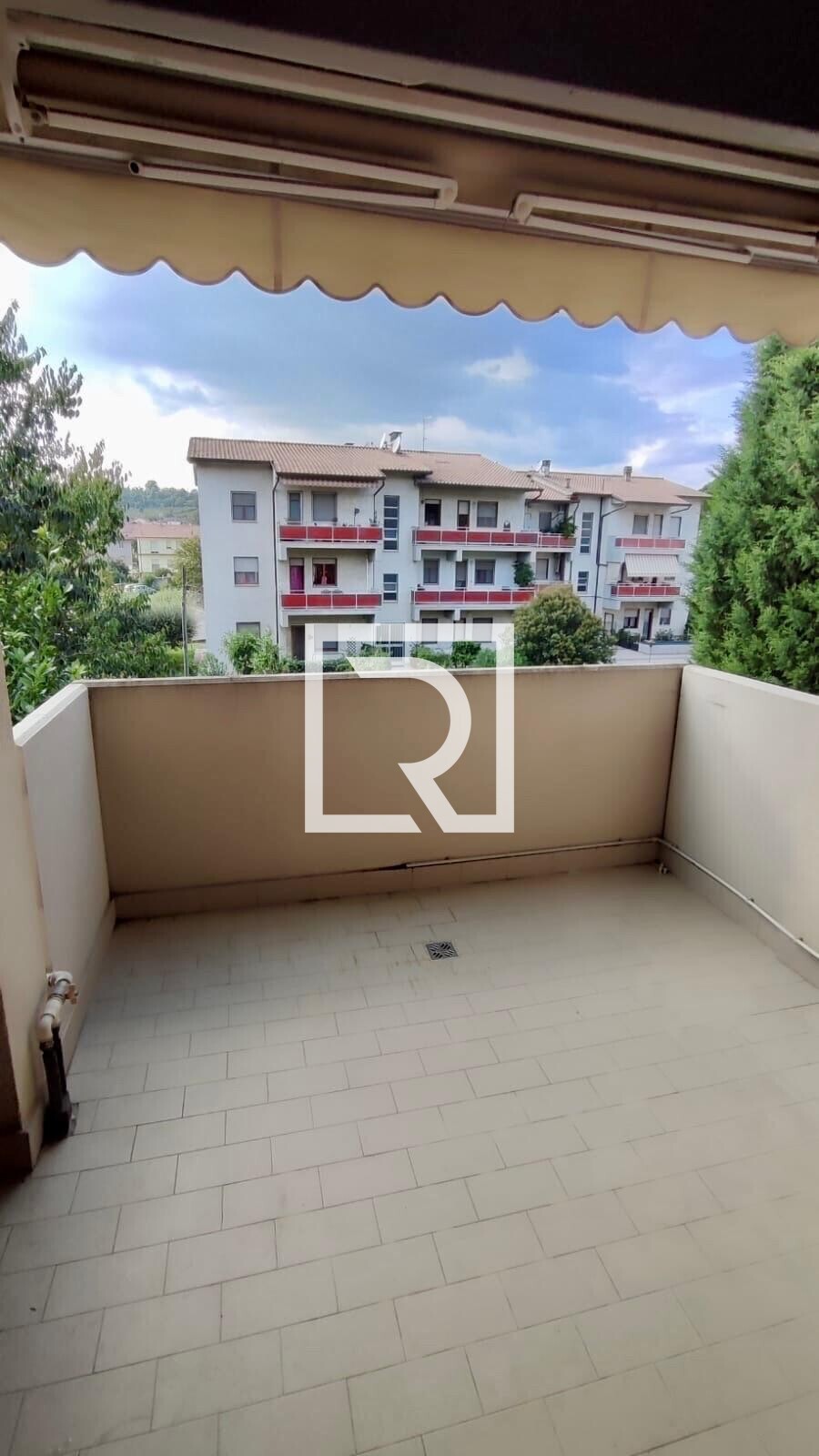 WhatsApp Image 2026-01-22 at 11.56.45 (19)