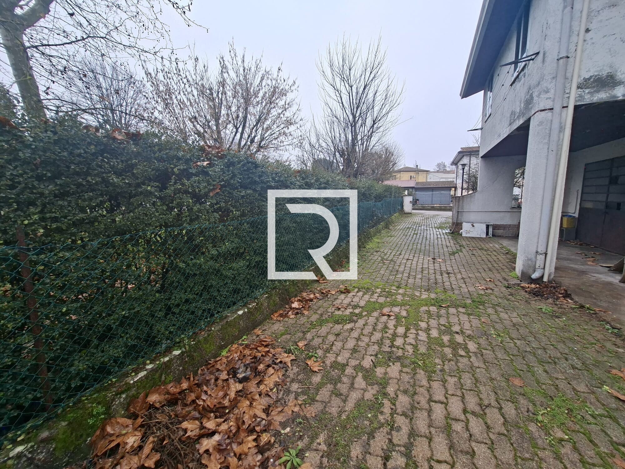 WhatsApp Image 2026-01-26 at 10.32.11 (1)