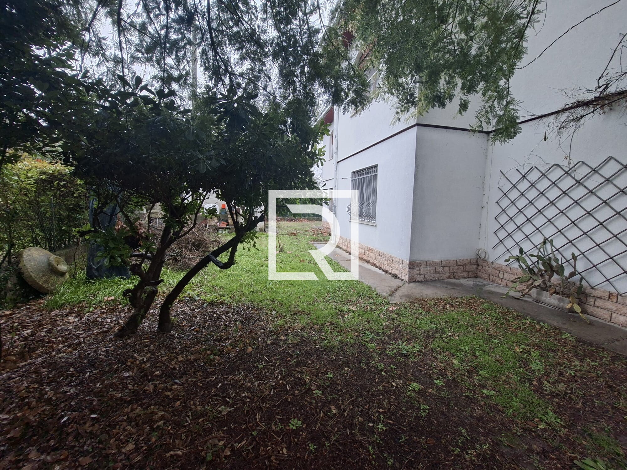 WhatsApp Image 2026-01-26 at 10.32.10