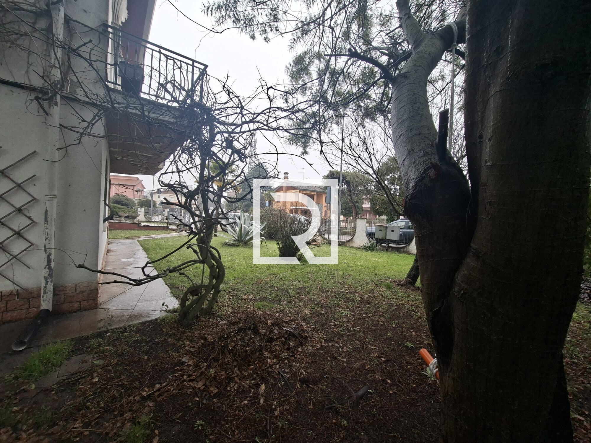 WhatsApp Image 2026-01-26 at 10.32.08