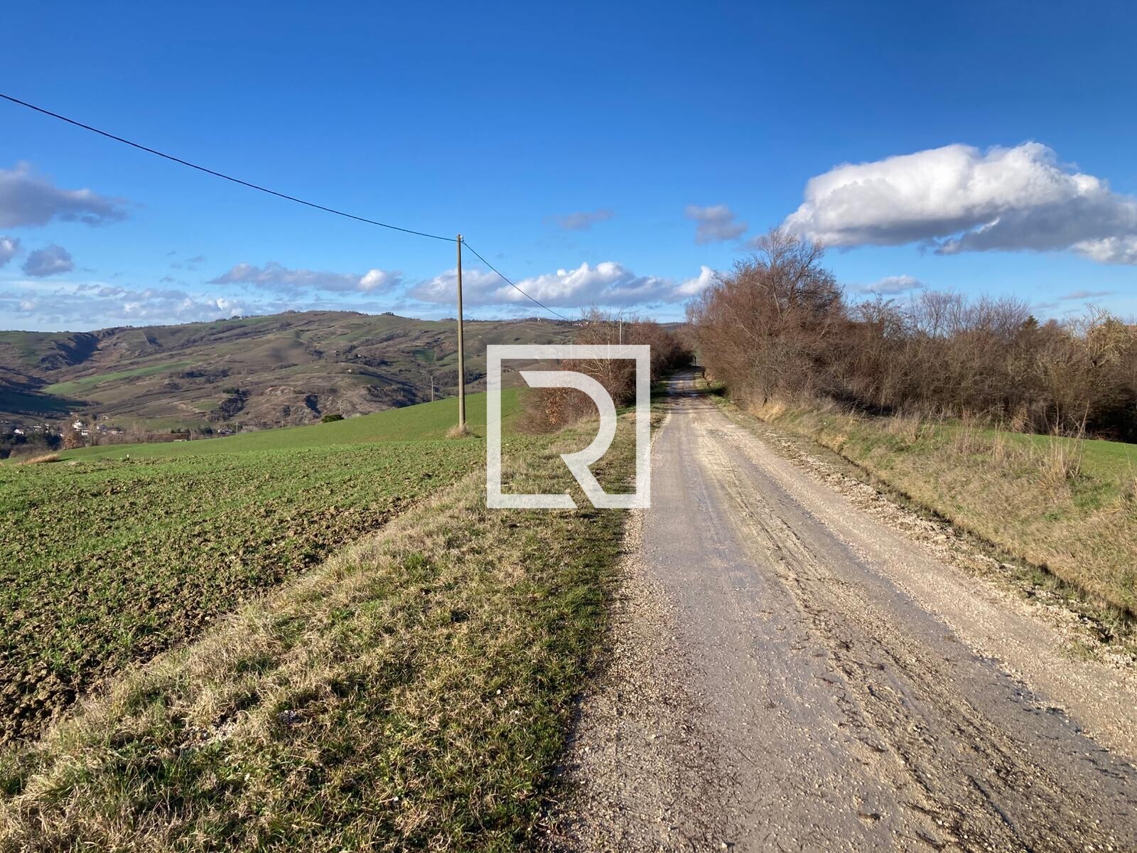 WhatsApp Image 2026-01-26 at 18.20.18