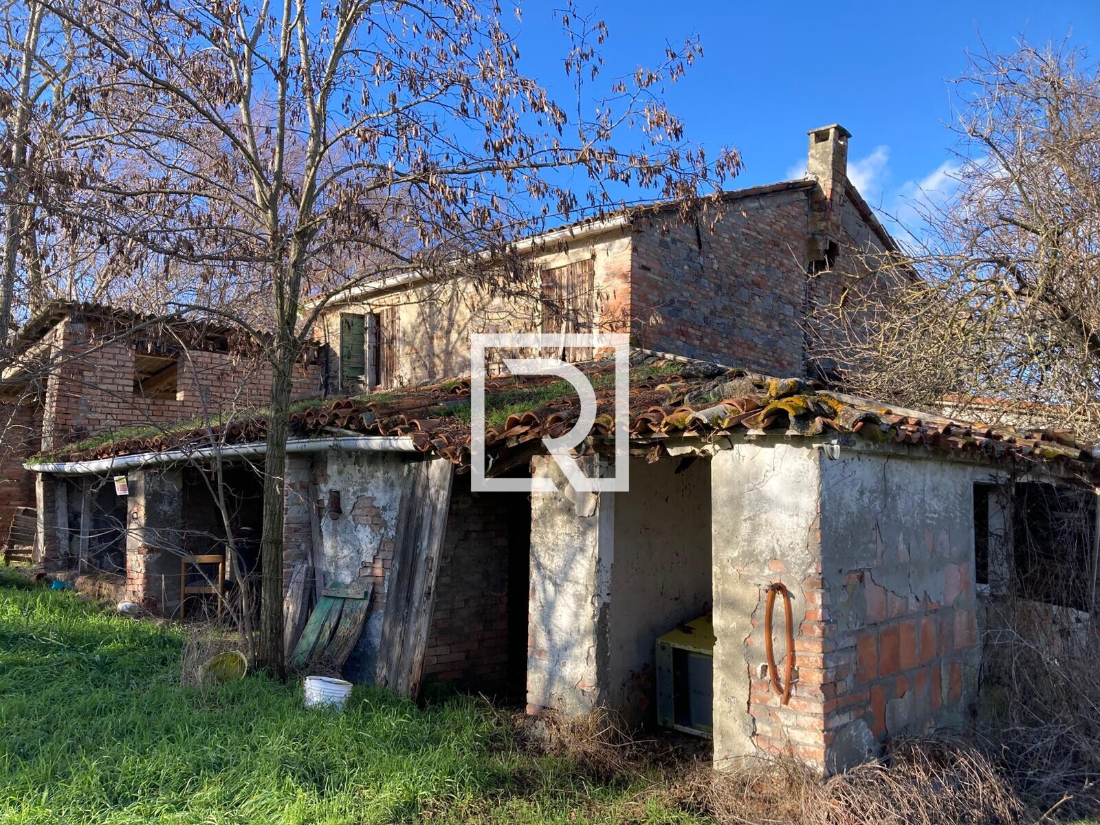 WhatsApp Image 2026-01-26 at 18.19.48 (4)