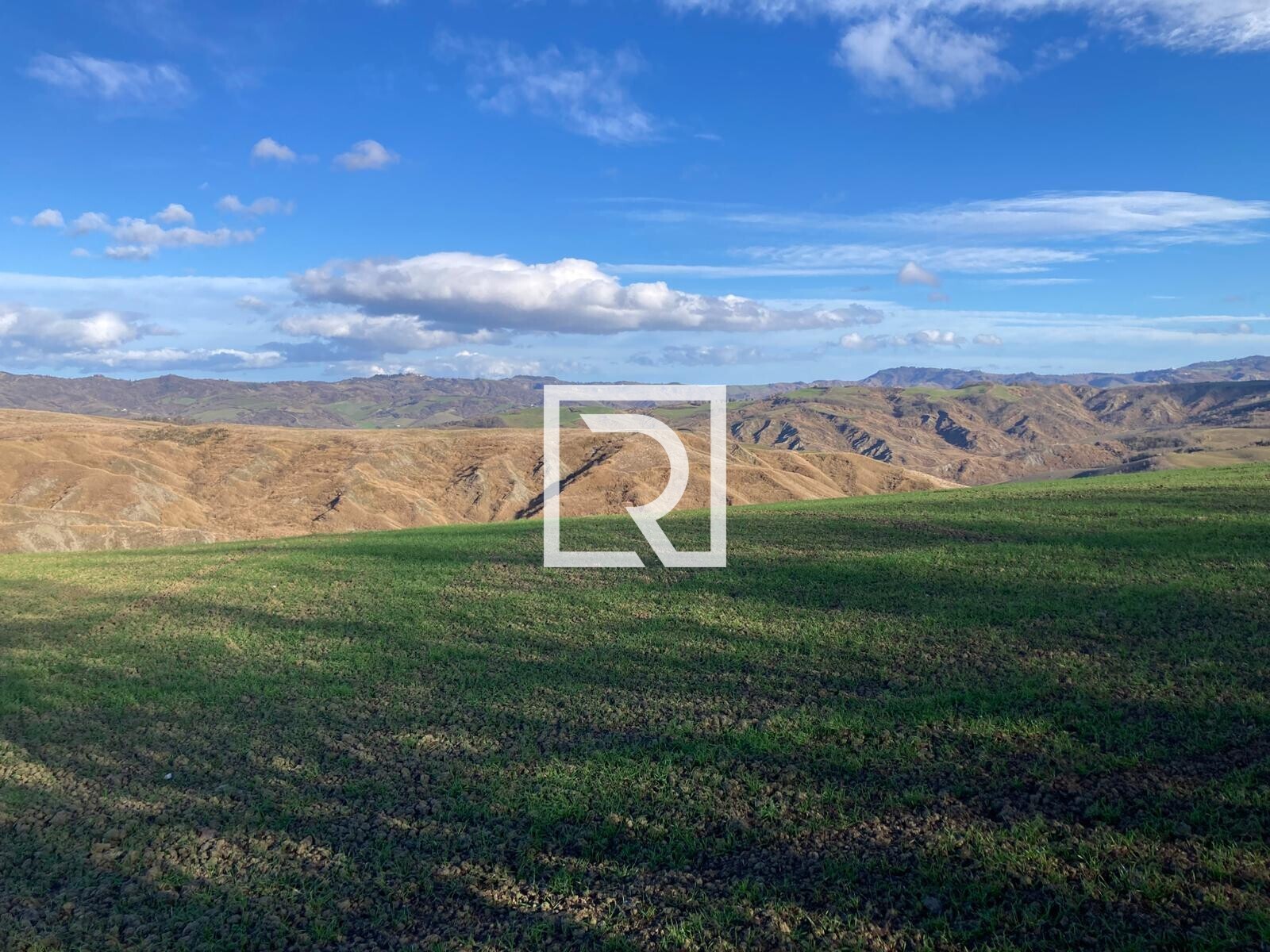 WhatsApp Image 2026-01-26 at 18.20.05