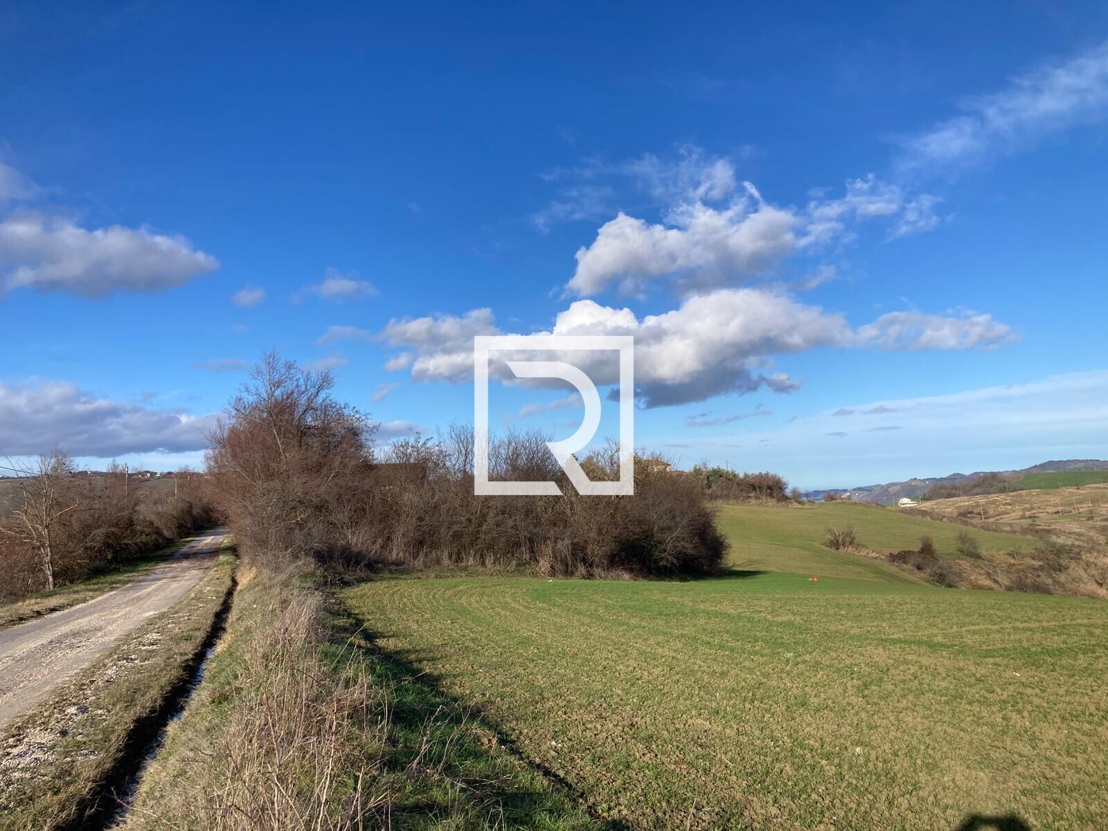 WhatsApp Image 2026-01-26 at 18.20.04 (7)