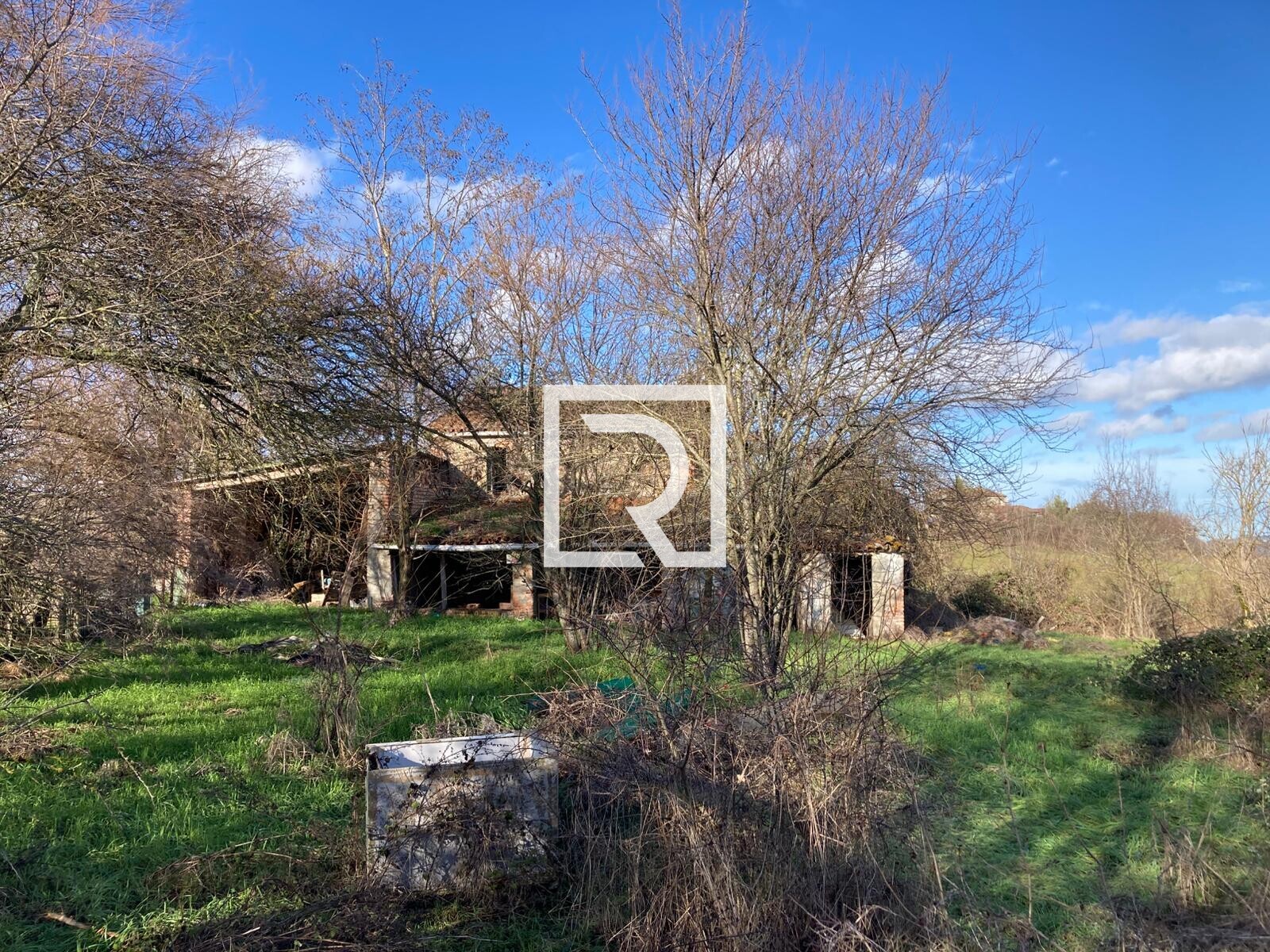 WhatsApp Image 2026-01-26 at 18.19.48 (5)