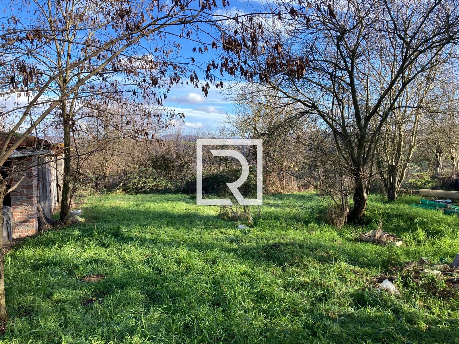 WhatsApp Image 2026-01-26 at 18.19.49