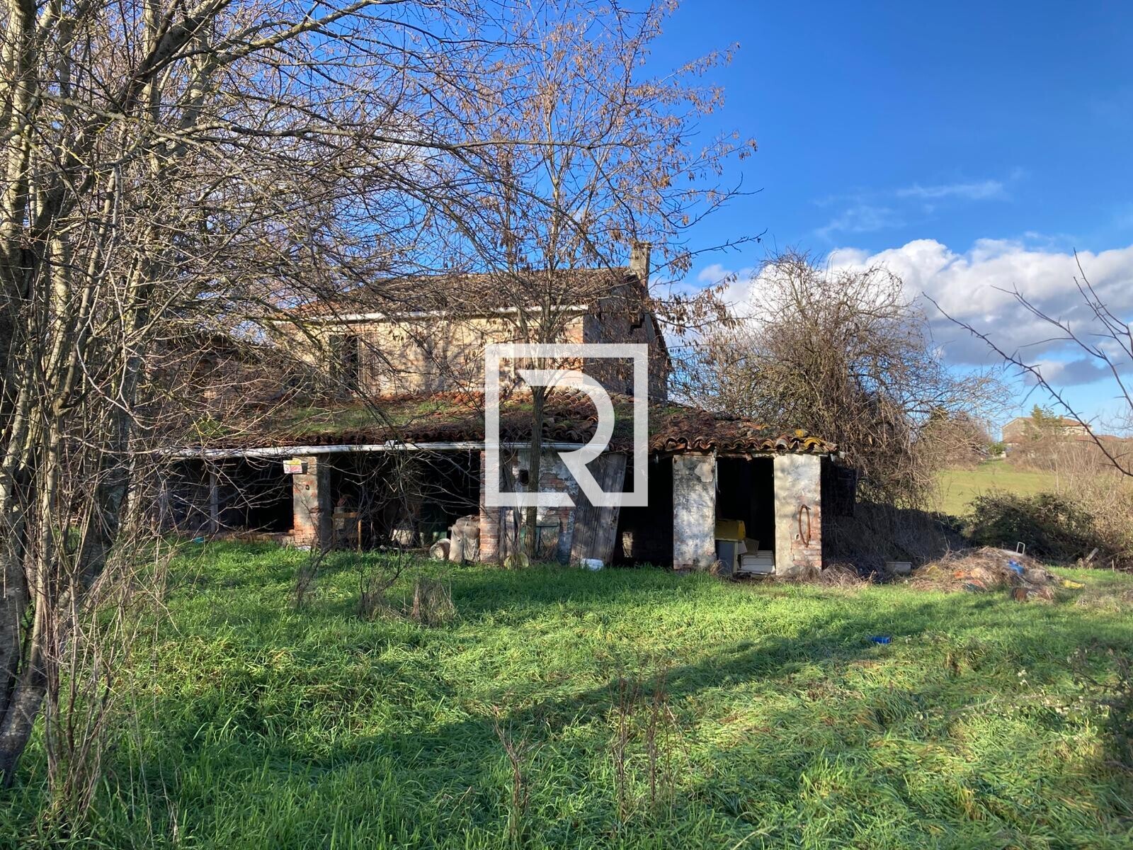 WhatsApp Image 2026-01-26 at 18.20.16