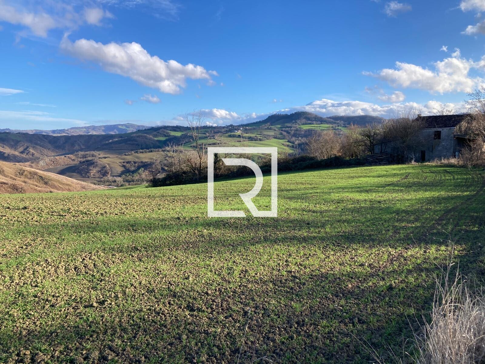 WhatsApp Image 2026-01-26 at 18.20.19